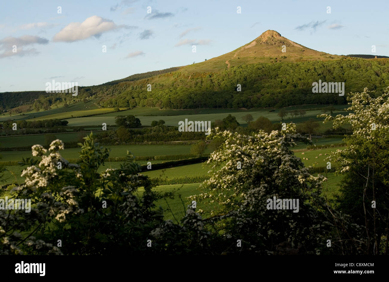 Roseberry Topping North Yorkshire Moors England Stock Photo