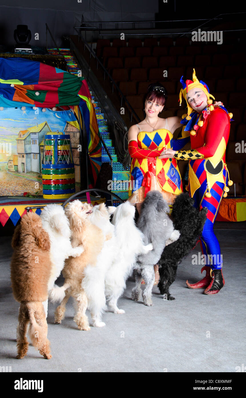 Dog Clown High Resolution Stock Photography and Images - Alamy