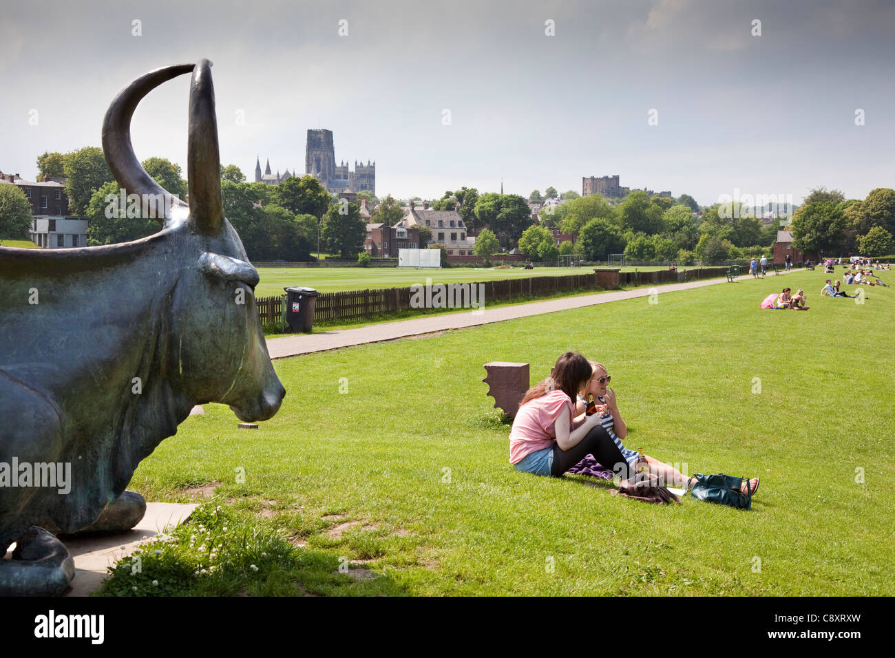 Durham Cathedral, Castle with Statue / Sculpture of 'Dunn Cow' and students sat drinking by the riverside, Durham, England Stock Photo