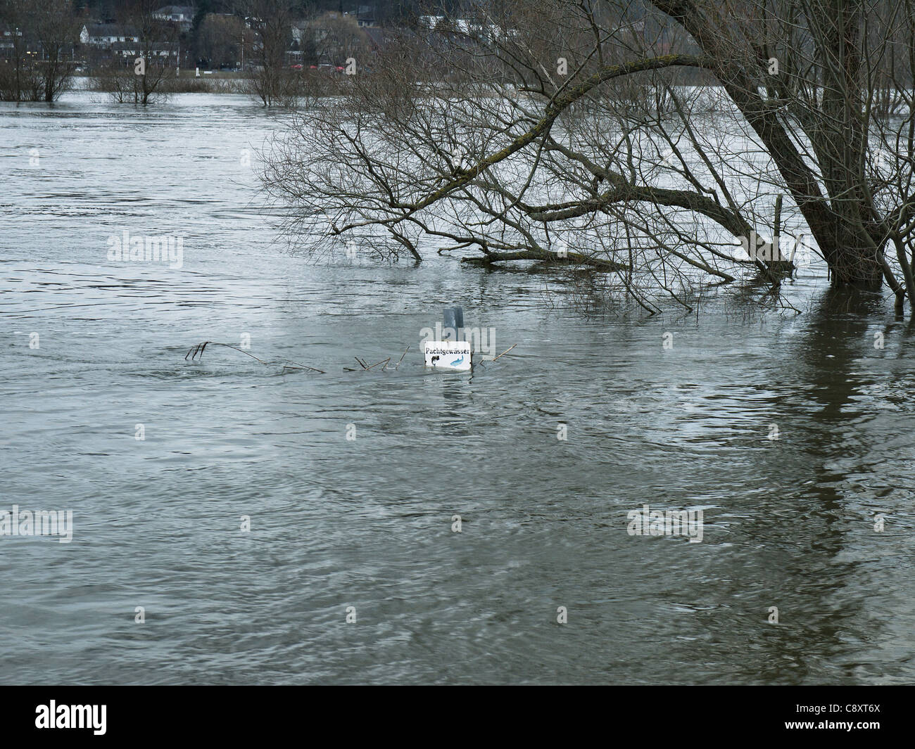 Flood on the River Elbe near Tespe, Elbmarsch, Germany. Stock Photo