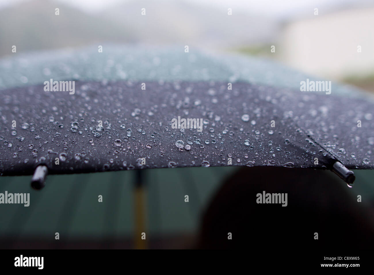 A person sheltering from the monsoon rain under an umbrella in Japan