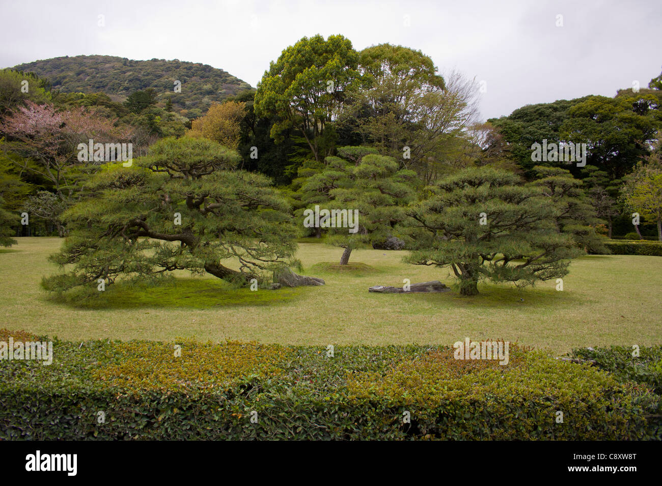 Stunning gardens at Ise Grand Shrine, Japan. Stock Photo