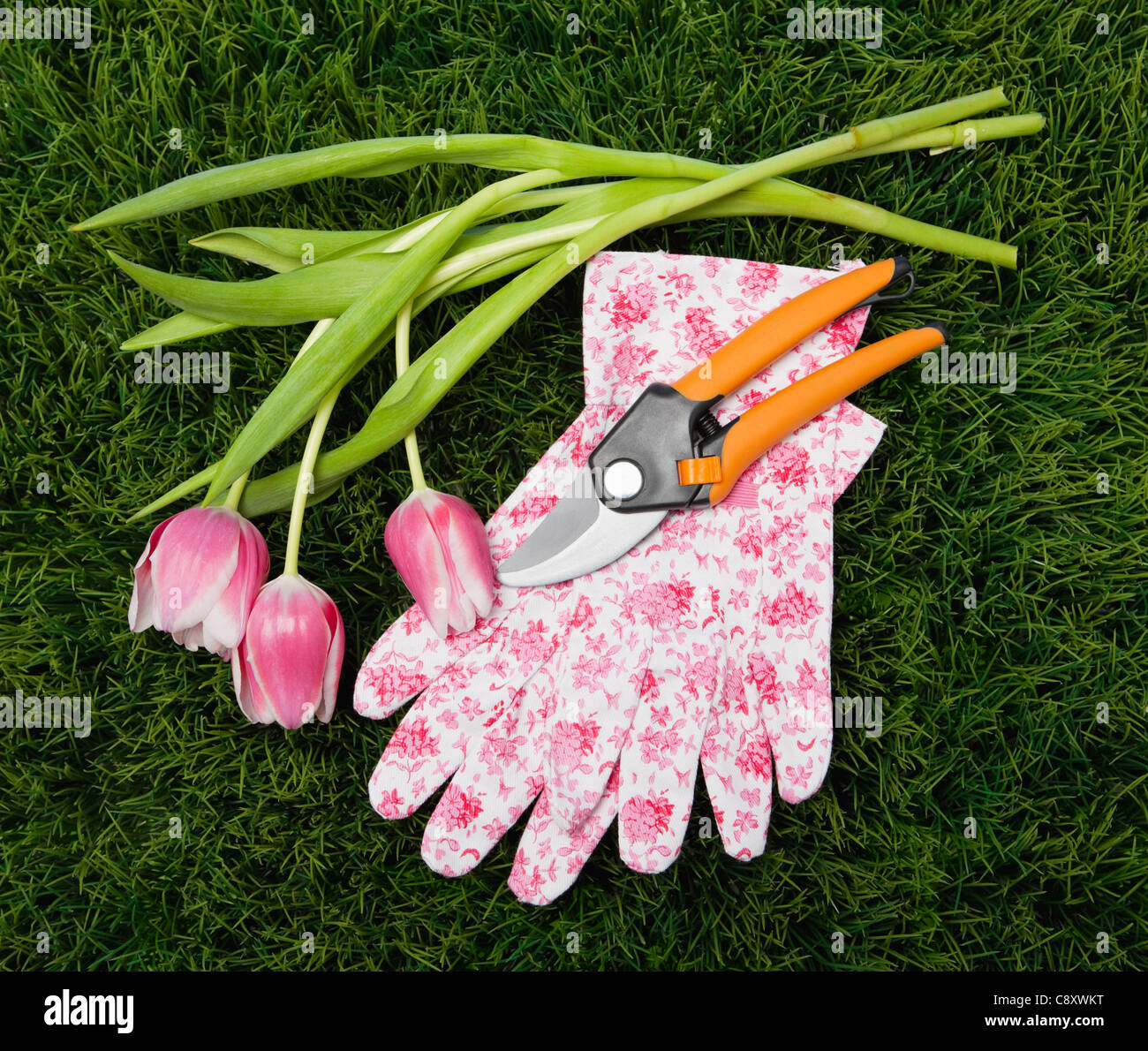 USA, Illinois, Metamora, Shears, gardening gloves and tulips on lawn Stock Photo