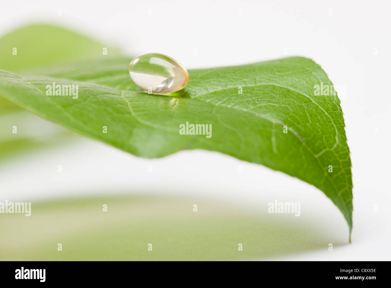 Capsule on leaf, studio shot Stock Photo