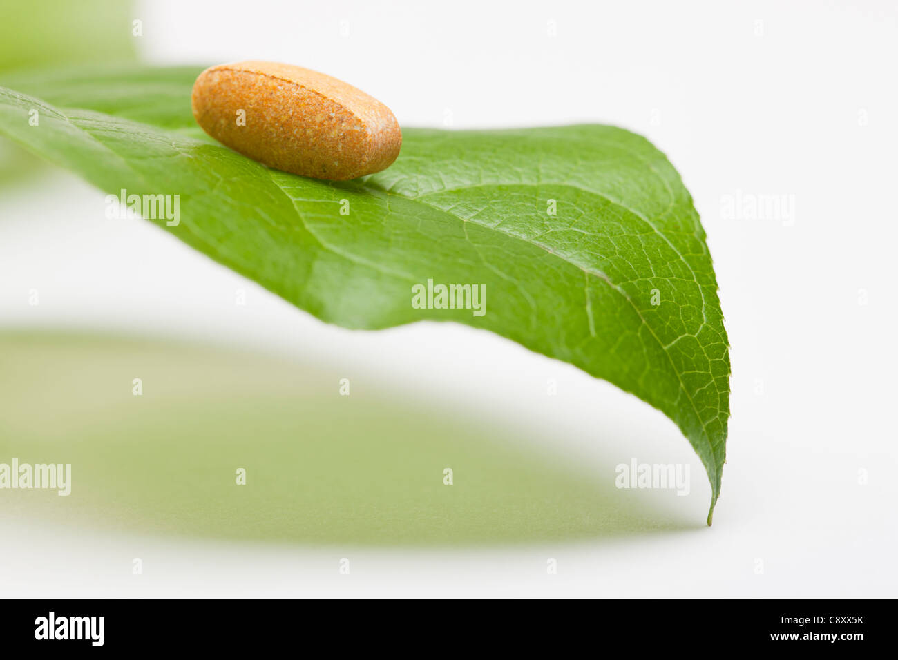 Pill on leaf, studio shot Stock Photo