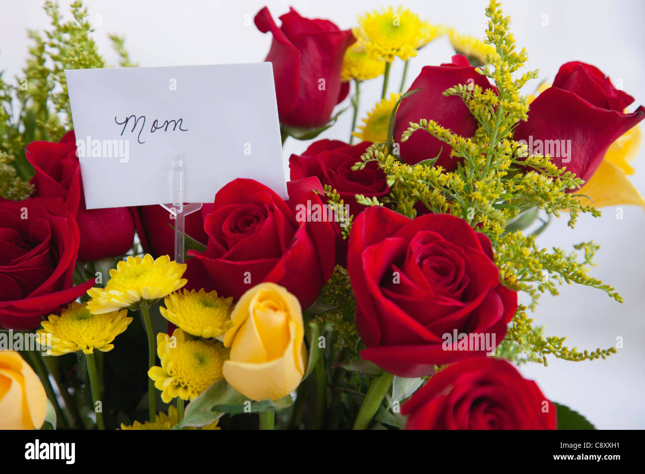 Studio shot of bouquet of roses and daisies for mother Stock Photo