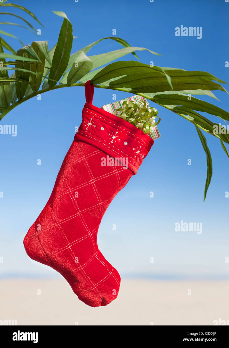 USA. Illinois, Metamora, Christmas sock with gift inside hanging on palm leaf Stock Photo