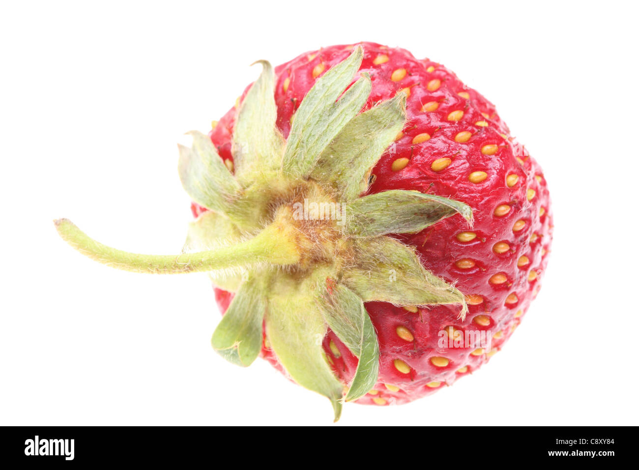 Fresh red strawberry isolated on white background Stock Photo - Alamy