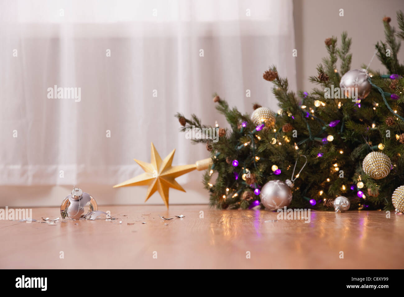 Fallen christmas tree hires stock photography and images Alamy
