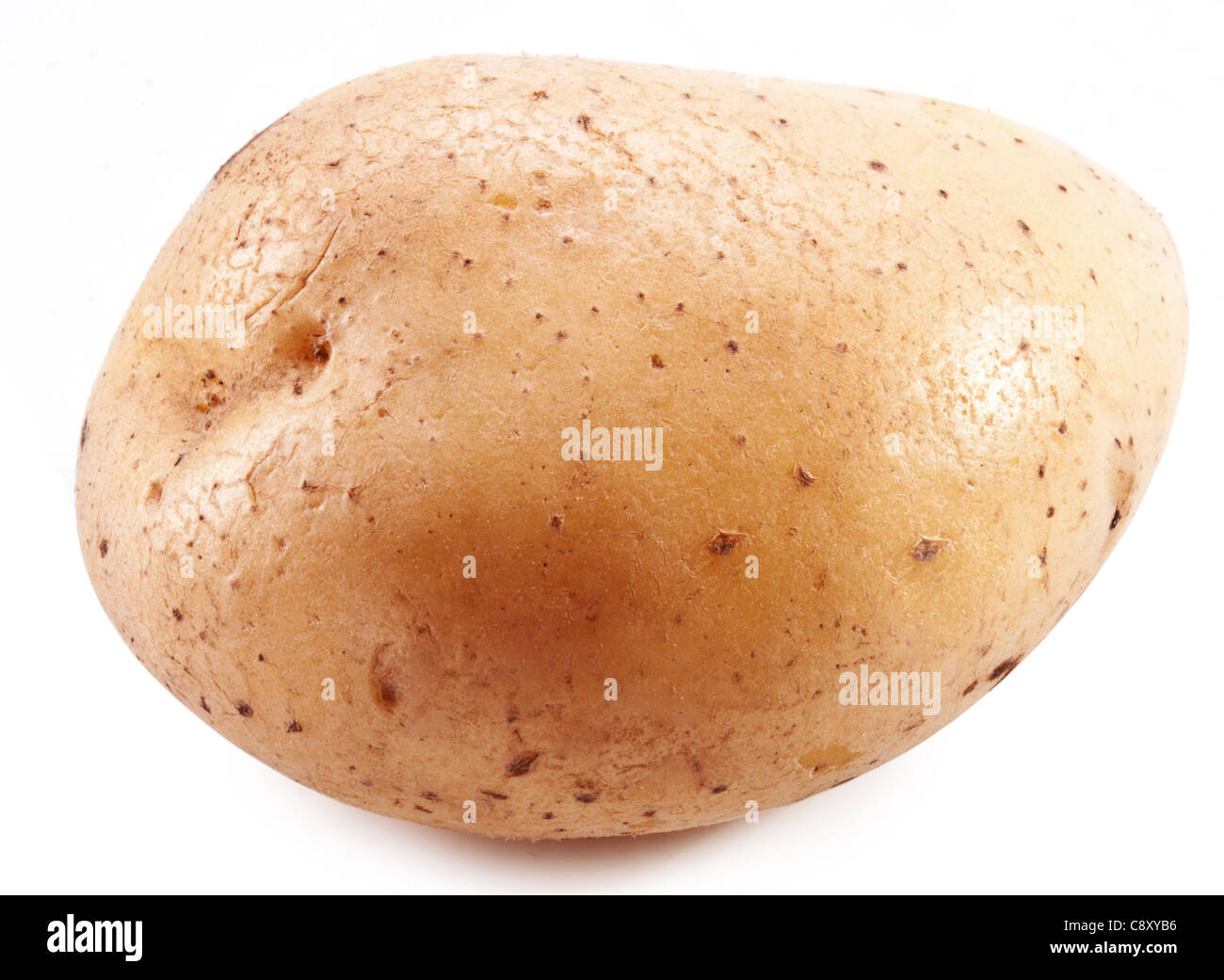 Potato on a white background. Stock Photo
