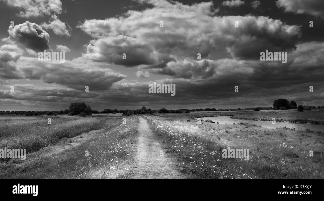 Path along edge of Lakenheath RSPB Reserve Suffolk in summer Stock