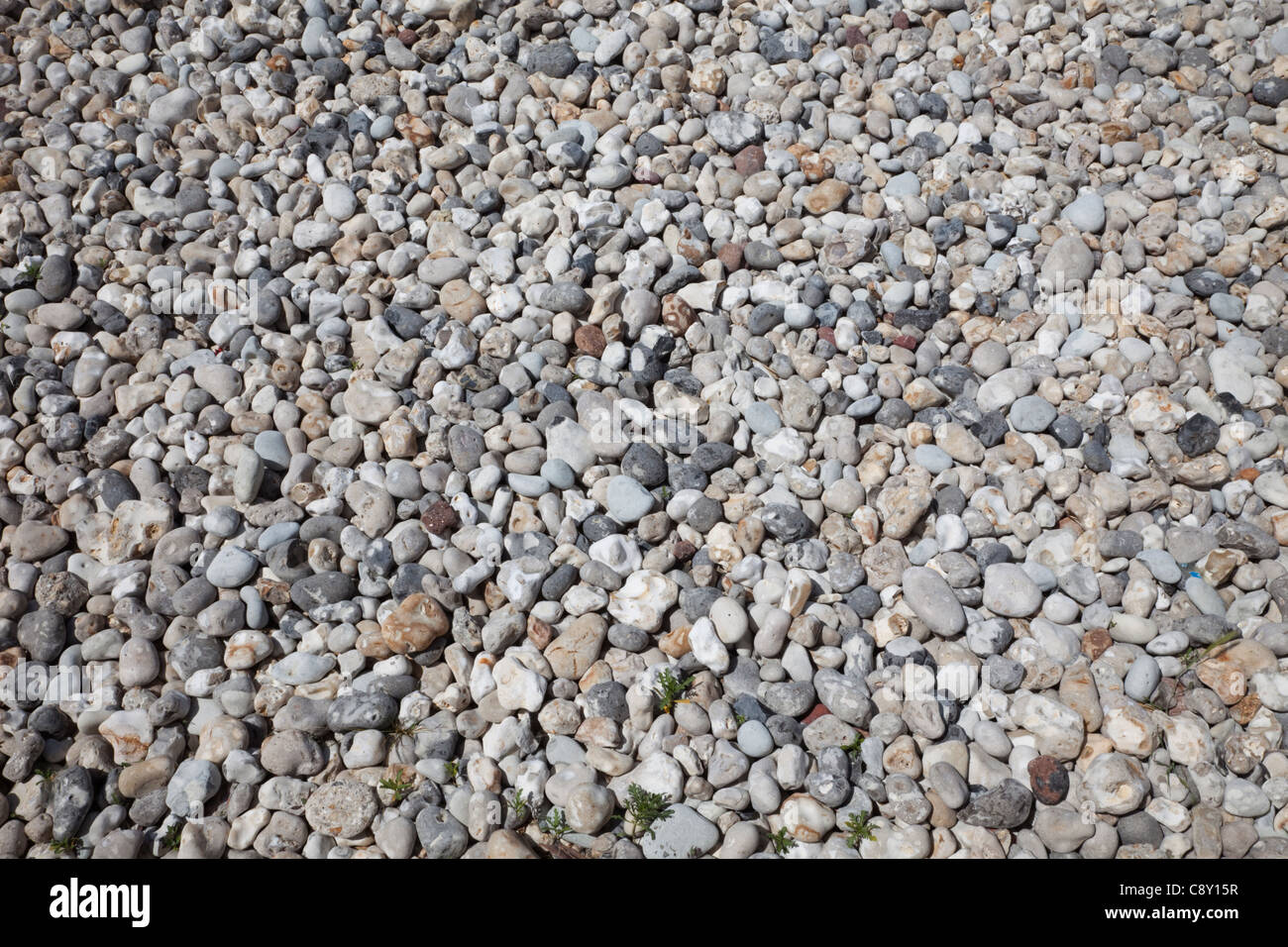 France, Normandy, Le Havre, Pebble Beach Stock Photo
