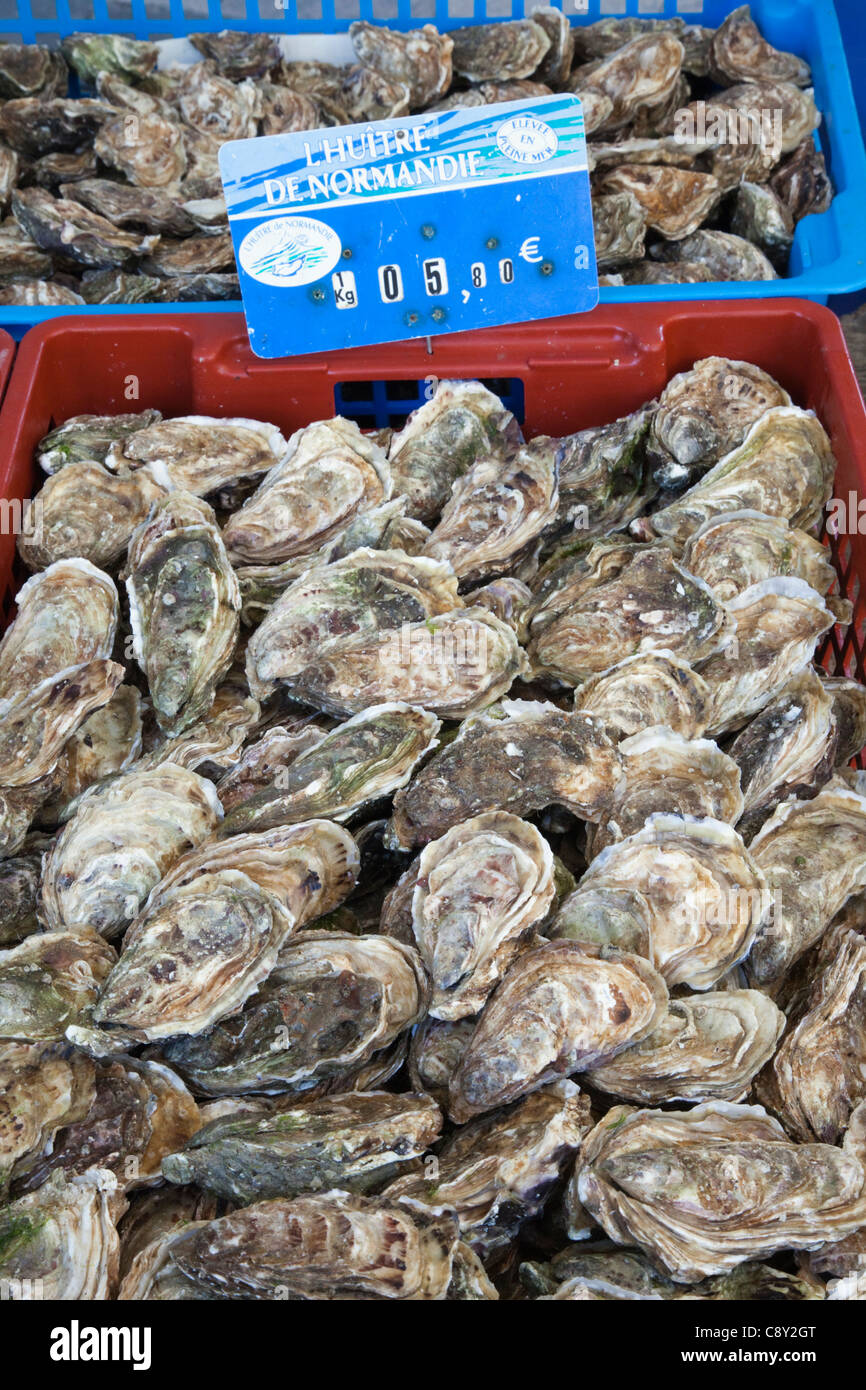 France, Normandy, Honfleur, Oysters Stock Photo Alamy