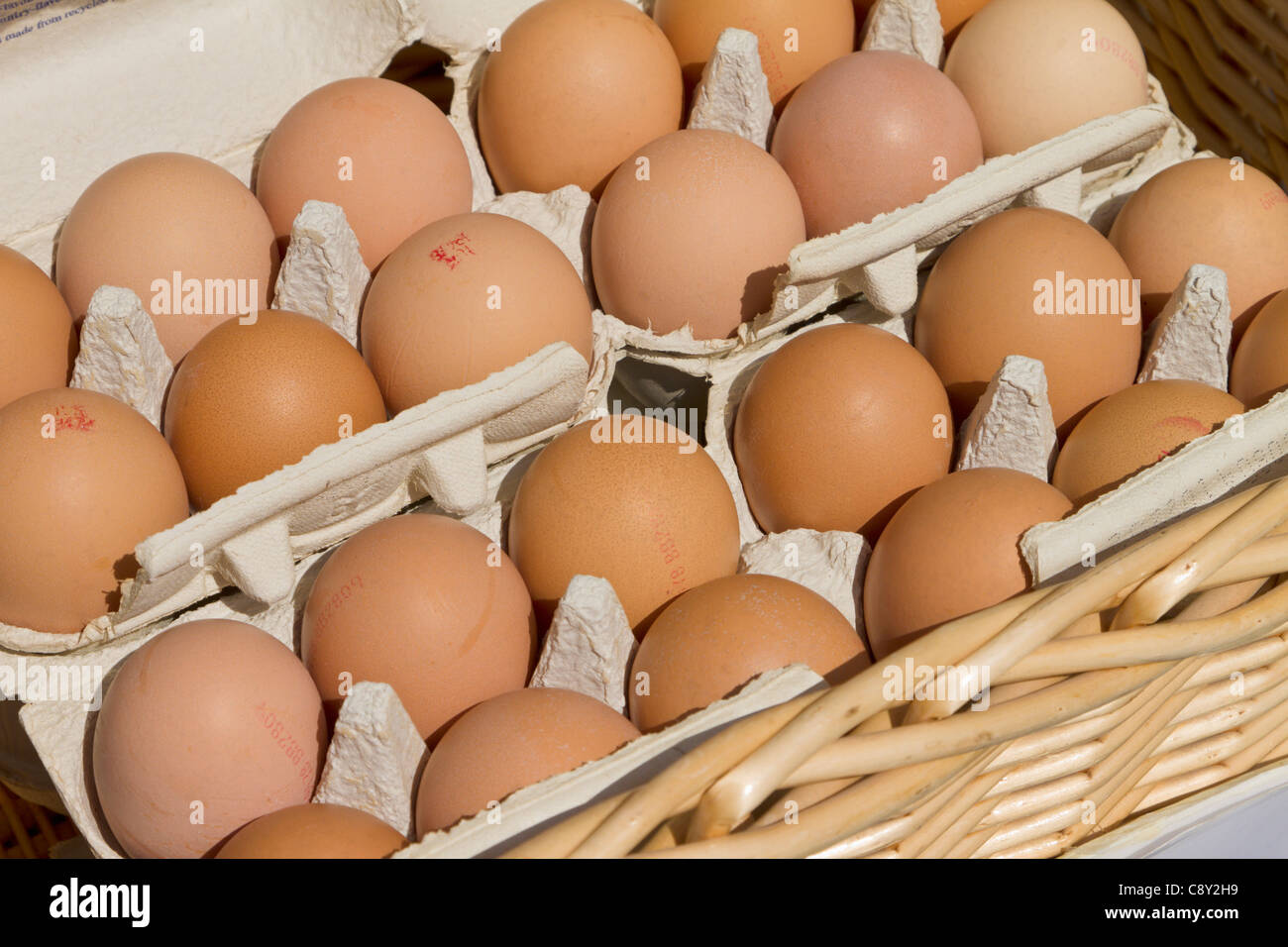 Two dozen eggs in egg box Stock Photo