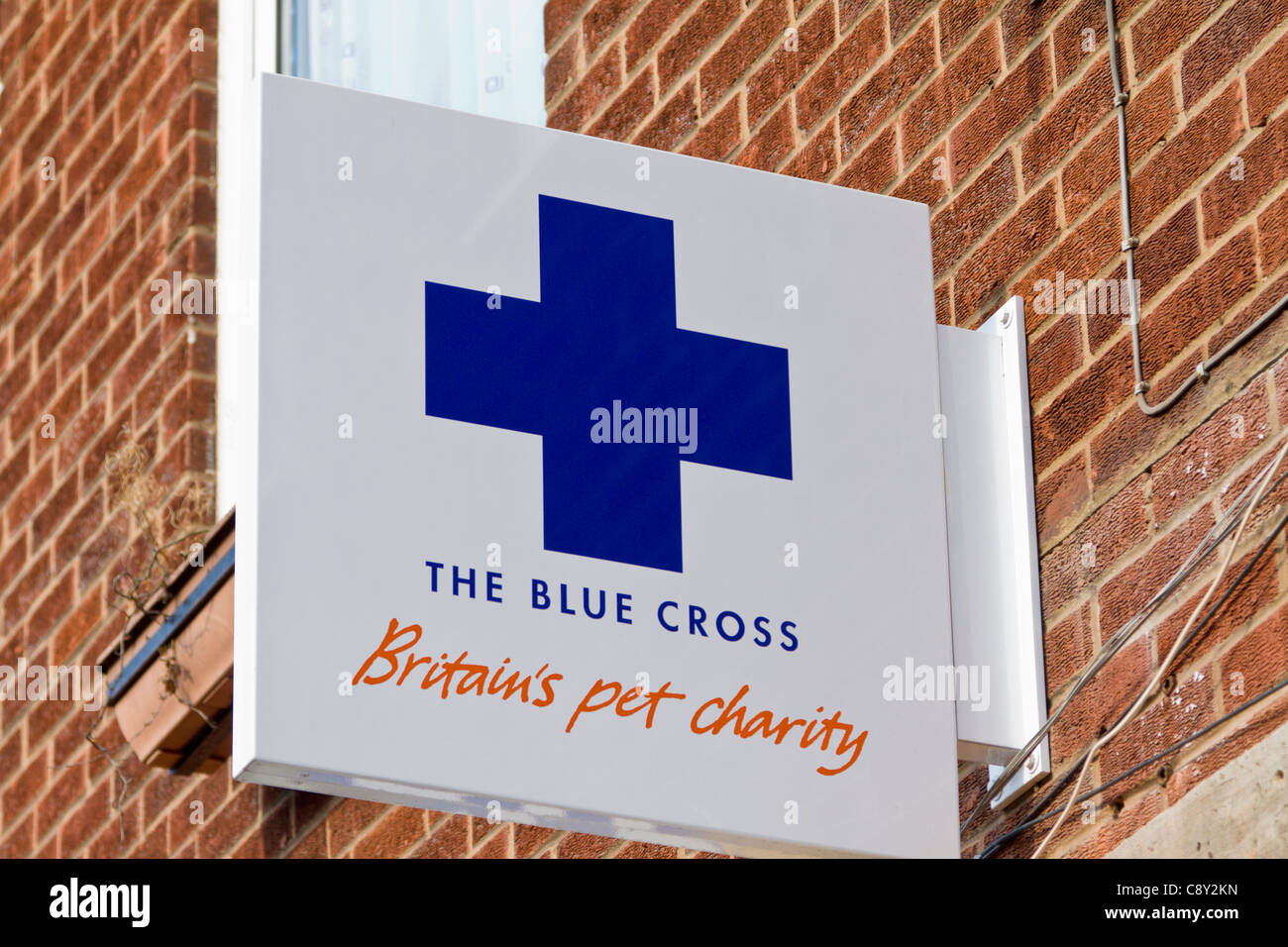 The Blue Cross pet charity sign, Ledbury Stock Photo