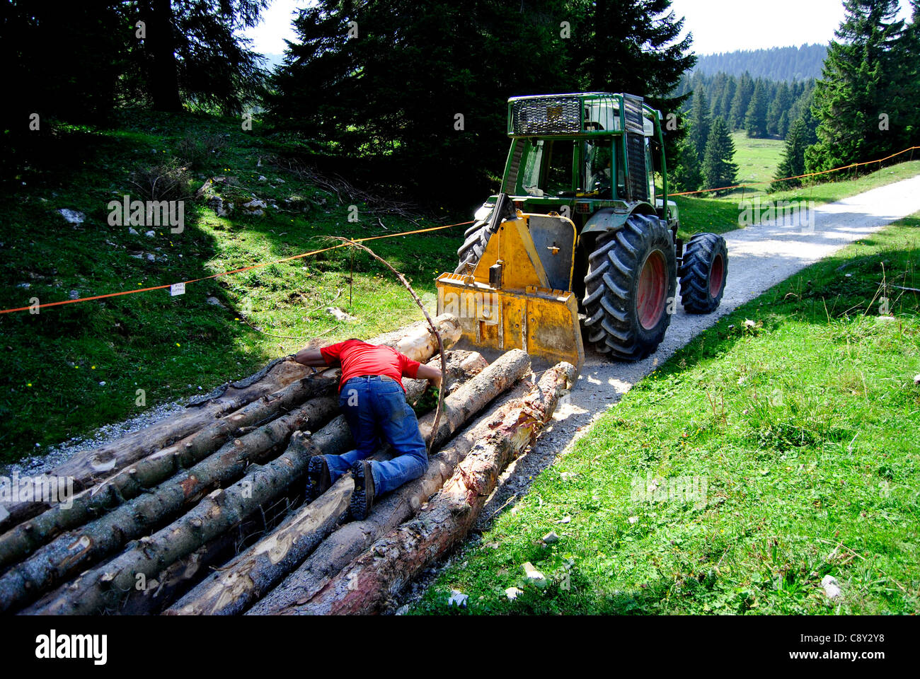Lorry Cuting Tractor manipulator hi-res stock photography and images - Alamy