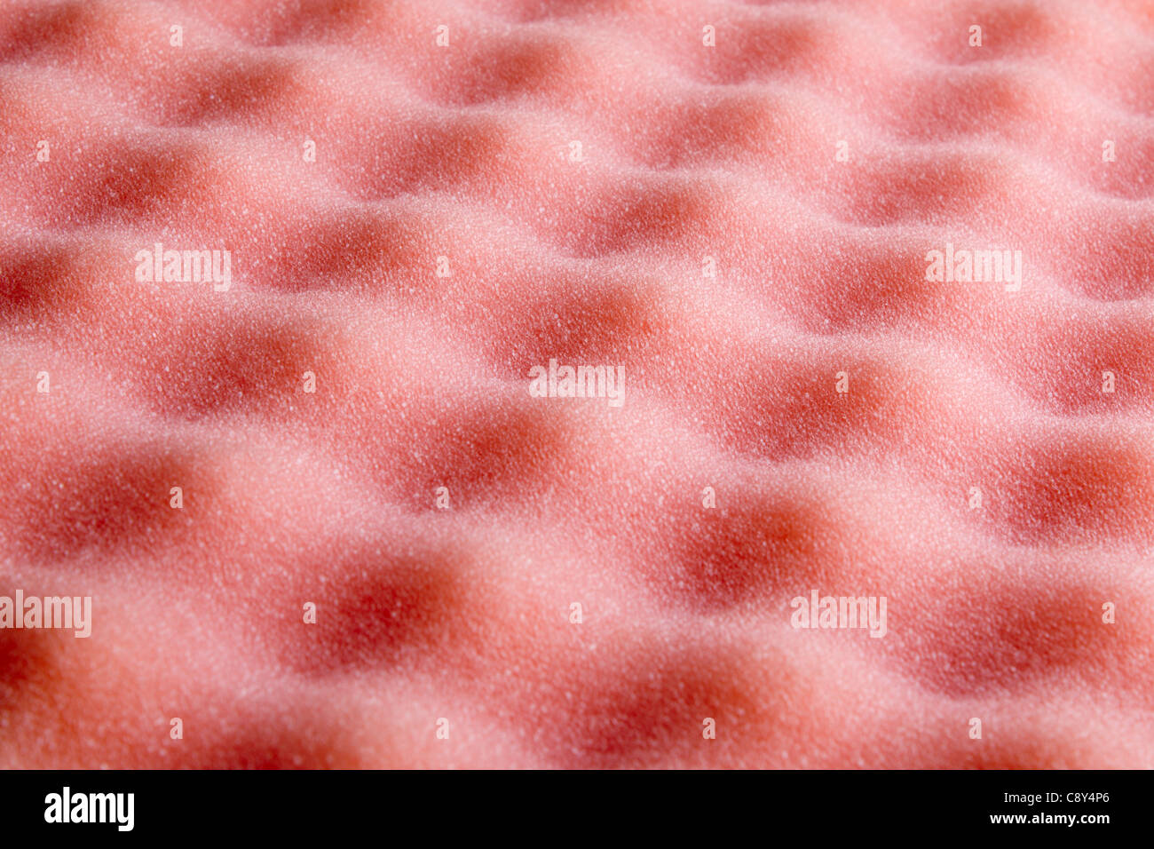 Foam rubber of pink color forms a relief Stock Photo
