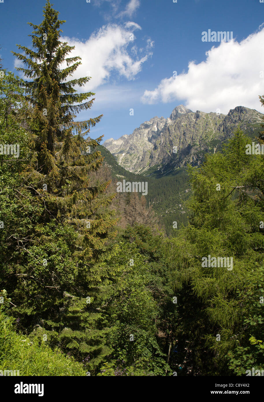 High Tatras - Lomnicky peak from Hrebienok Stock Photo
