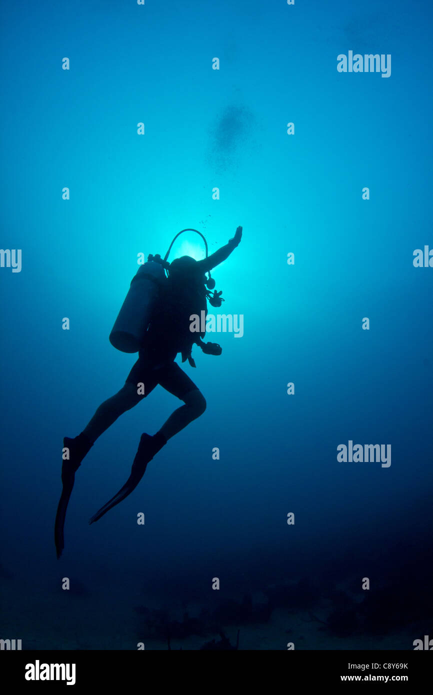 A scuba diver ascends through the crystal clear waters of the Caribbean. Stock Photo