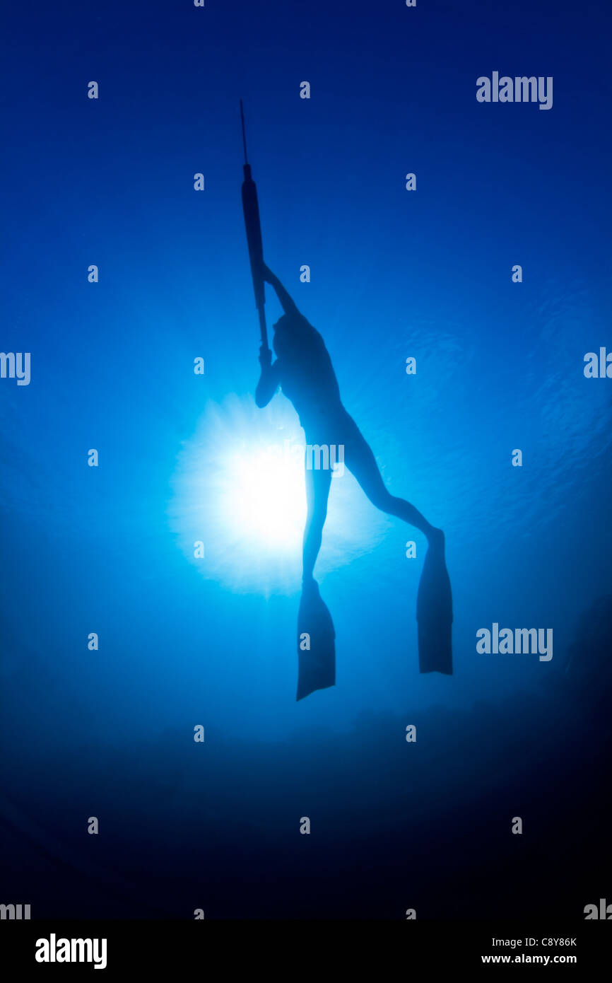 A young girl spearfishing on The Great Barrier Reef Stock Photo Alamy