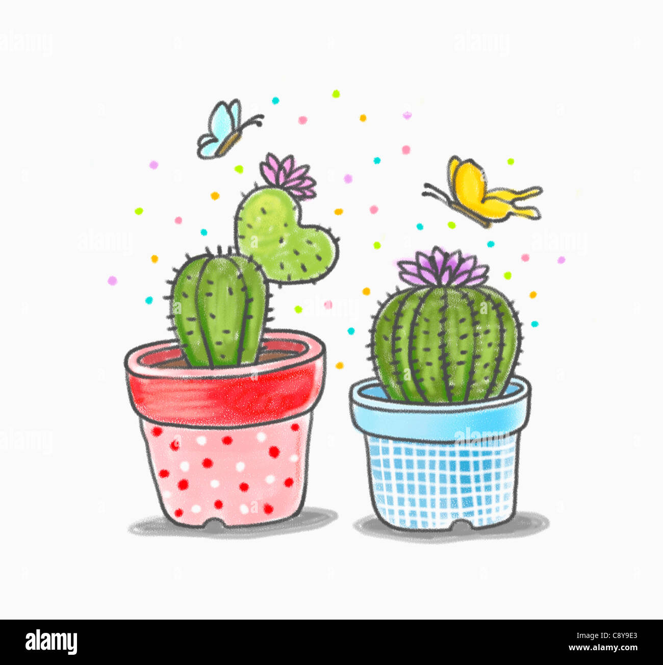 Drawing of pots of cactus Stock Photo - Alamy