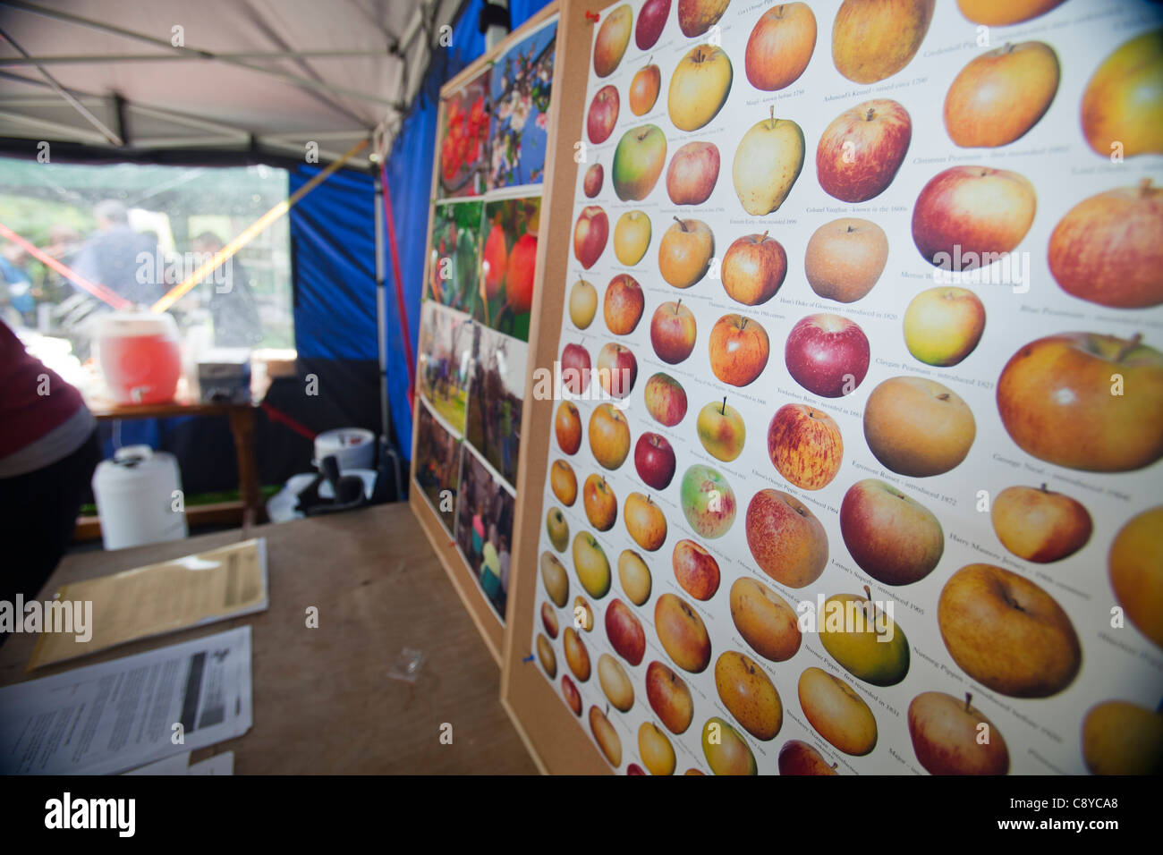 A stand at the Apple Day at Acorn Bank, Perith, Cumbria, UK. Stock Photo