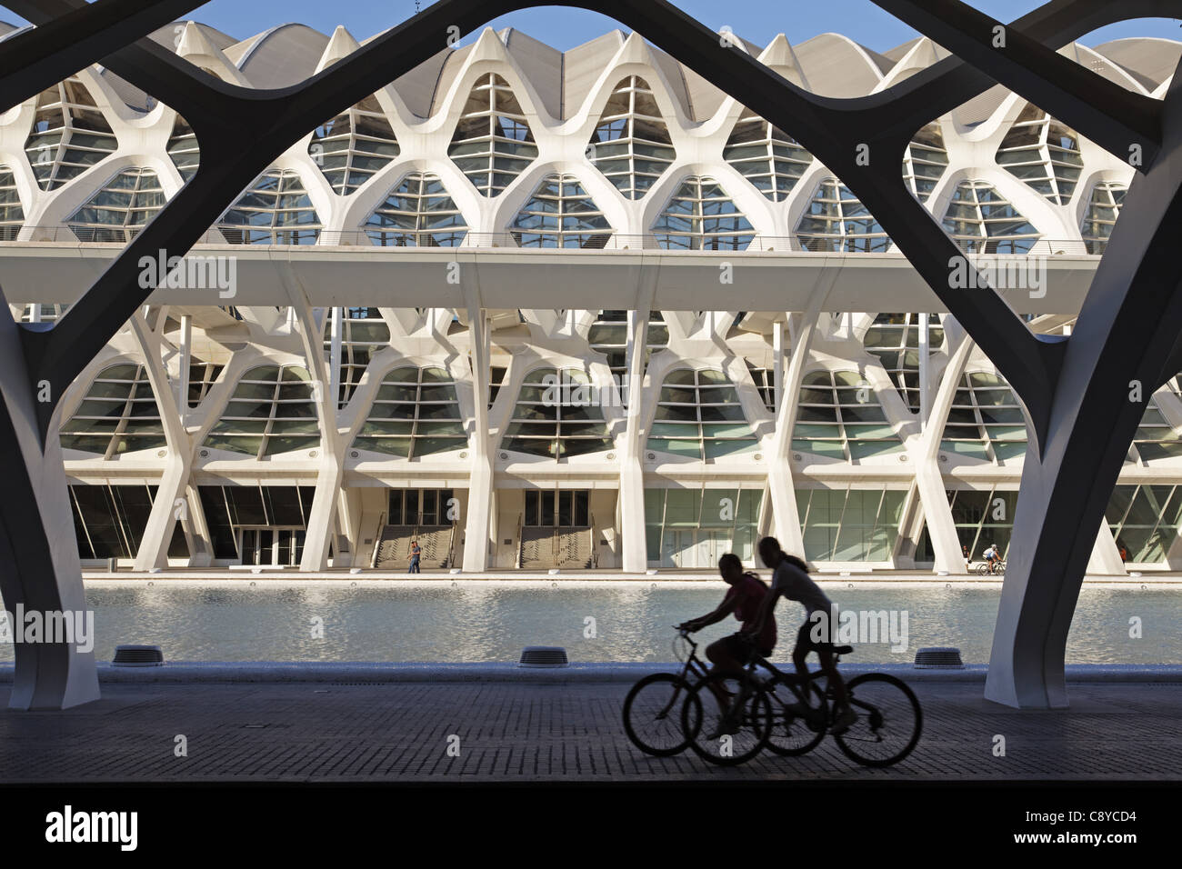 Príncipe Felipe Science Museum City of sciences and arts by architect Santiago Calatrava  Stock Photo