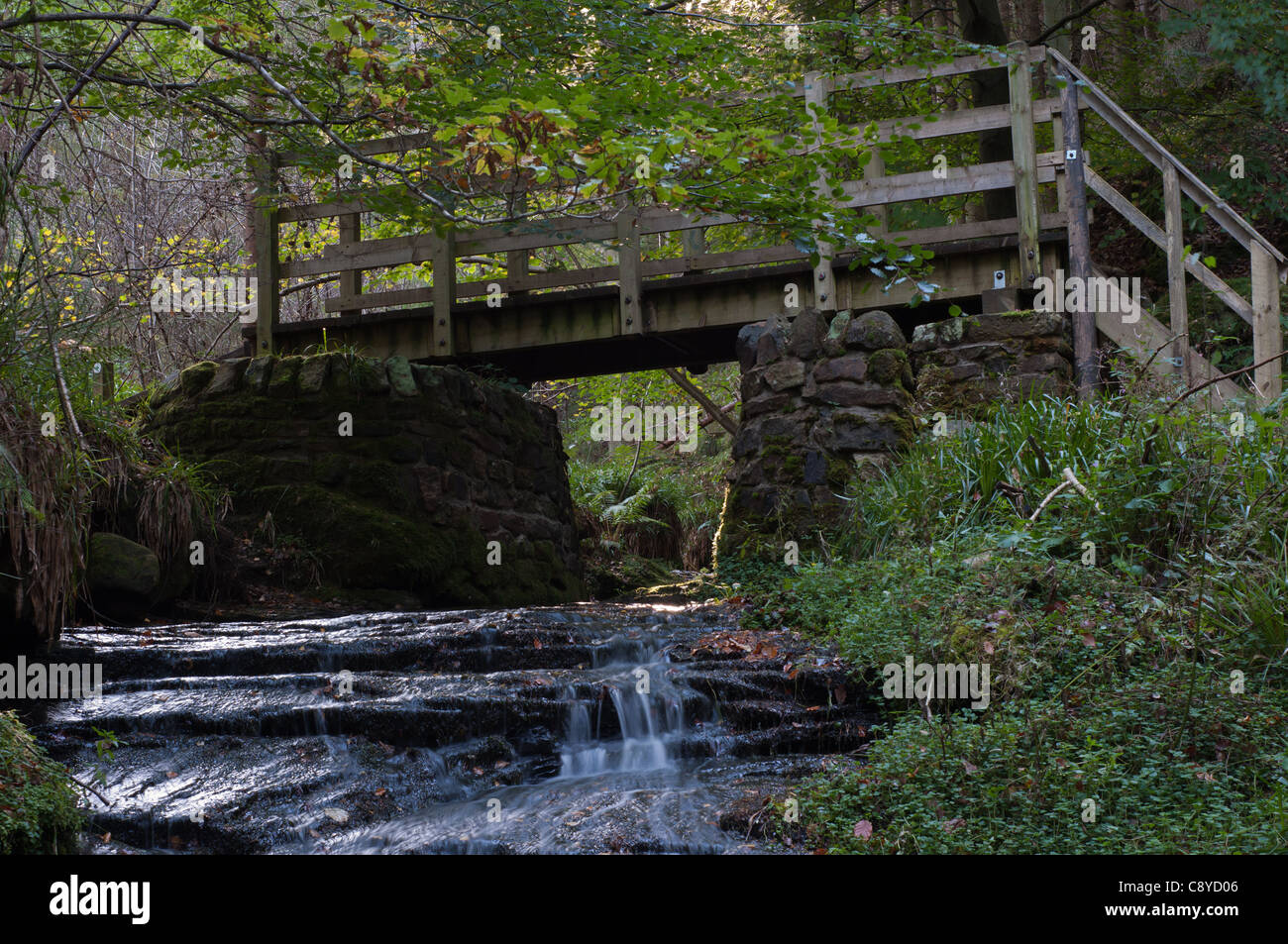 Wooden bridge across a small waterfall, flowing down to the main stream, in Hamsterley Forest in County Durham, North East England. Stock Photo