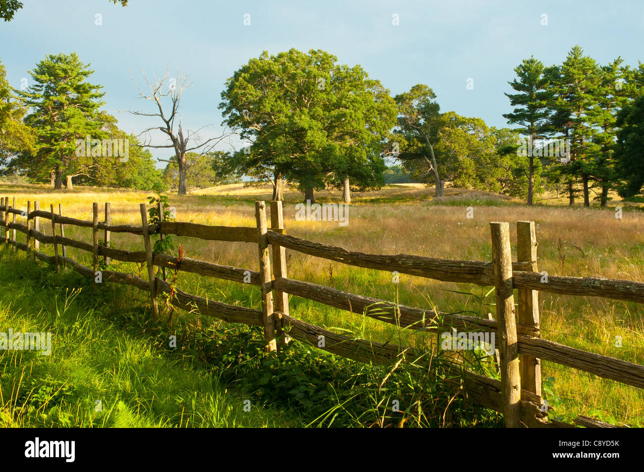 Farm Split Rail Fence High Resolution Stock Photography and Images Alamy