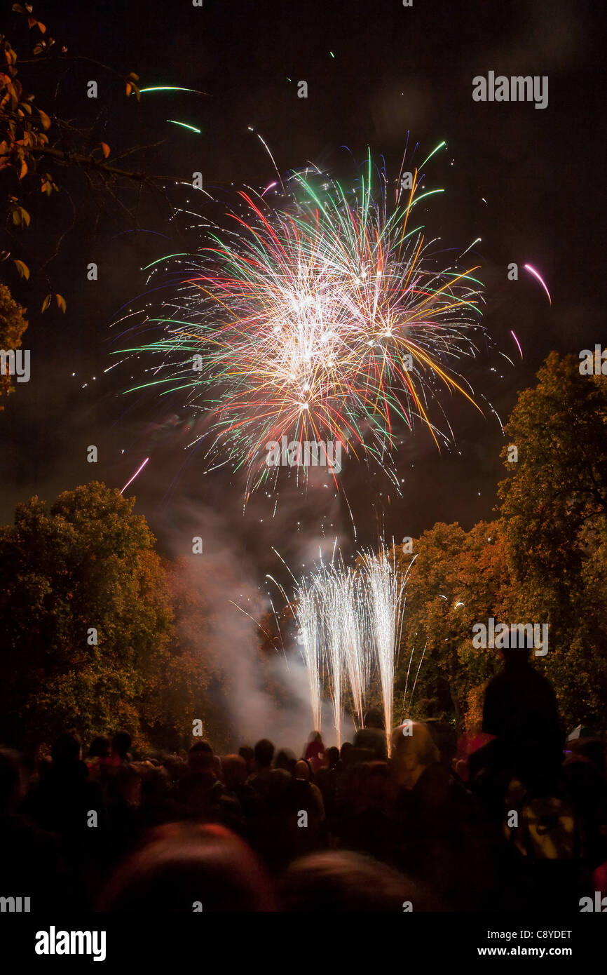 Crowd watching Fireworks display on November 4 2011 to celebrate Guy Fawkes Night. Corams Fields, Bloomsbury, Camden, London, England Stock Photo