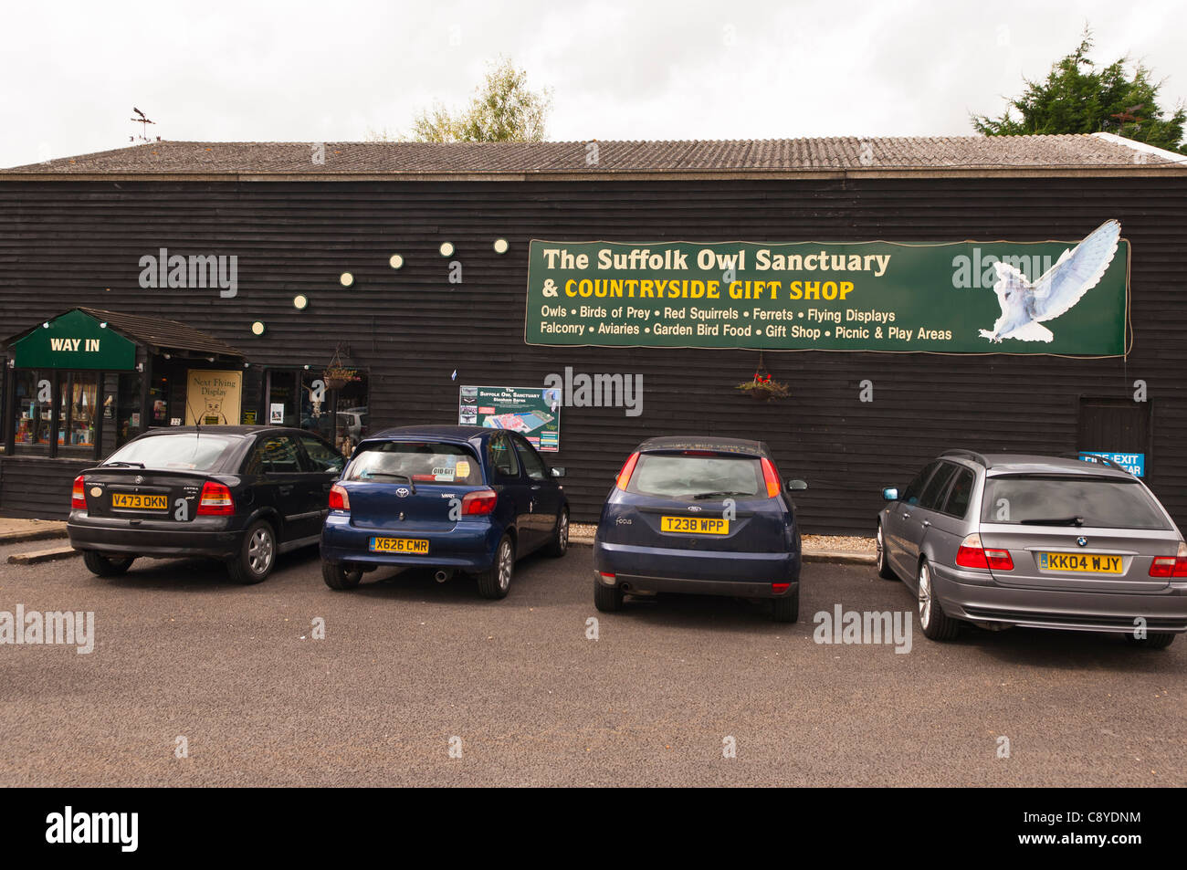 The Suffolk Owl sanctuary at Stonham Barns in Suffolk , England Stock Photo 39941488 Alamy