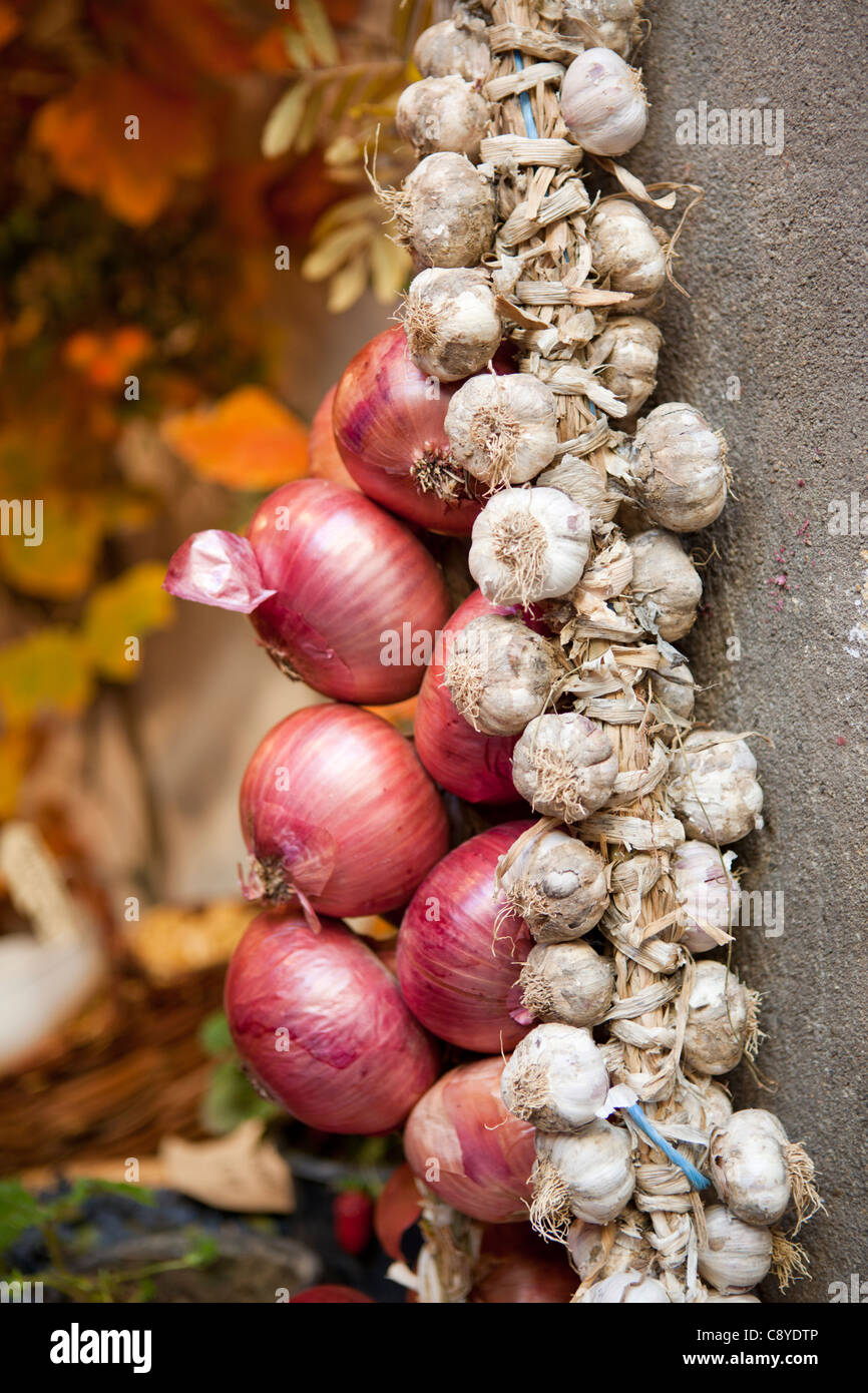 Strings of onions hi-res stock photography and images - Alamy