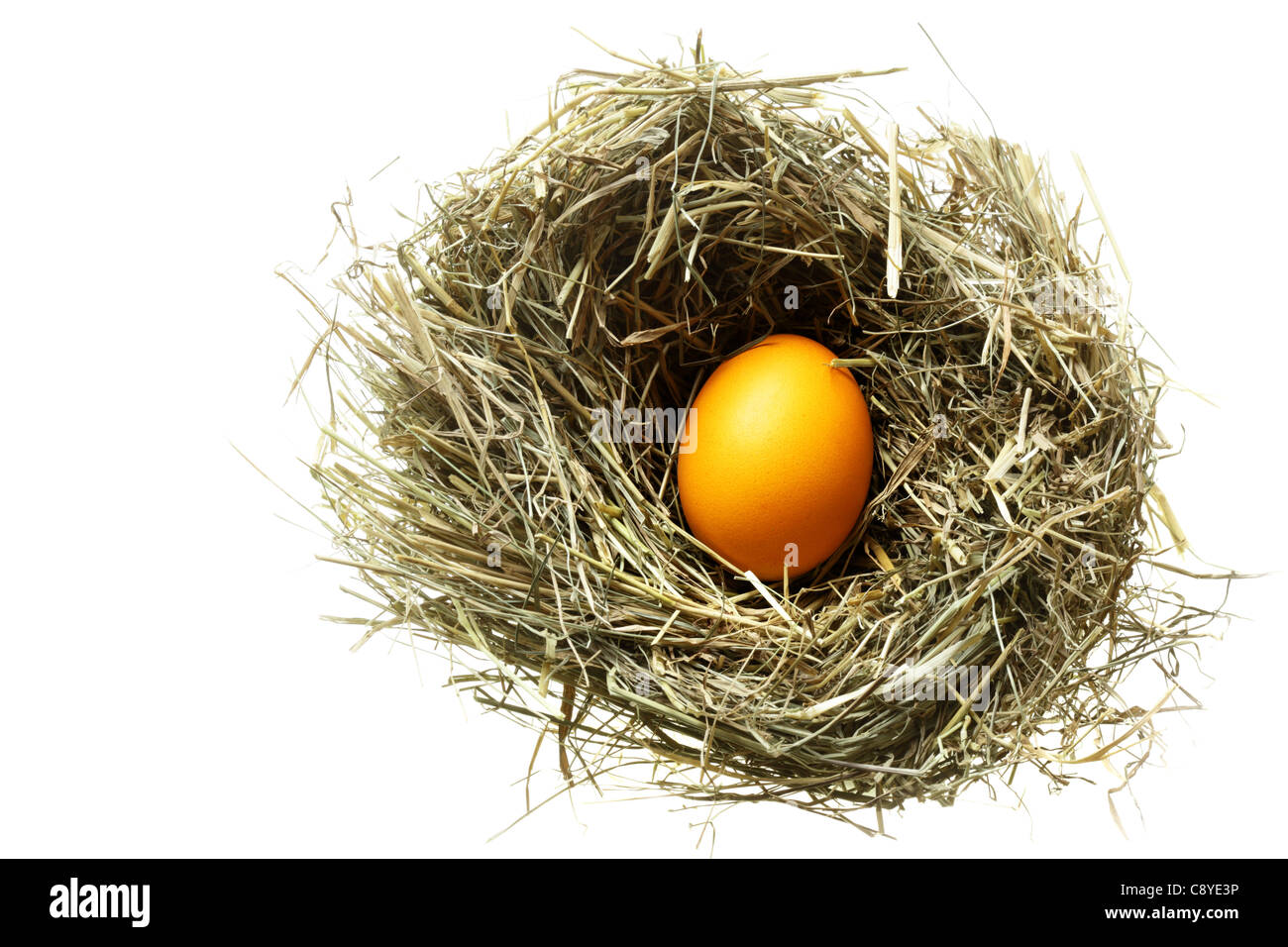Nest with easter egg isolated over white background Stock Photo - Alamy