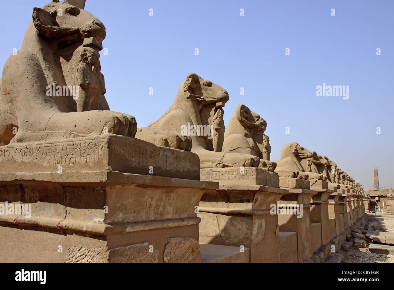 Egypt Karnak Avenue of Sphinxes Stock Photo Alamy
