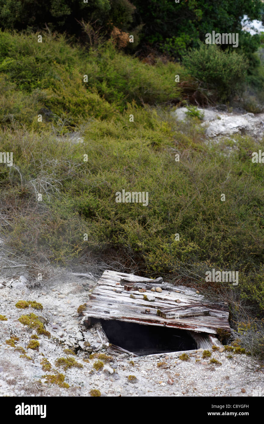 Earth oven, powered by hot thermal underground springs Whakarewarewa