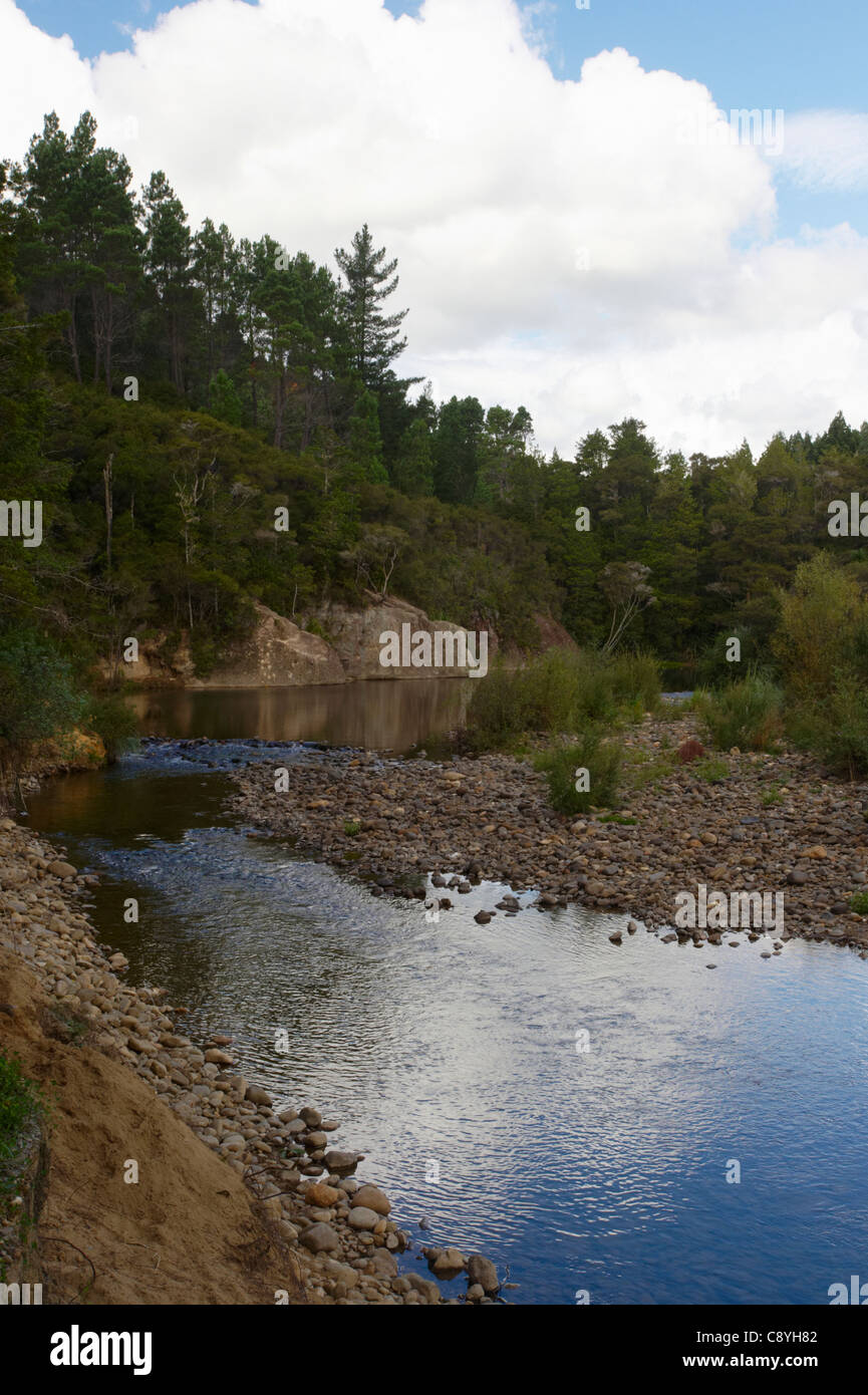 North Island Rivers River, and trees. North Island, New Zealand Stock Photo - Alamy