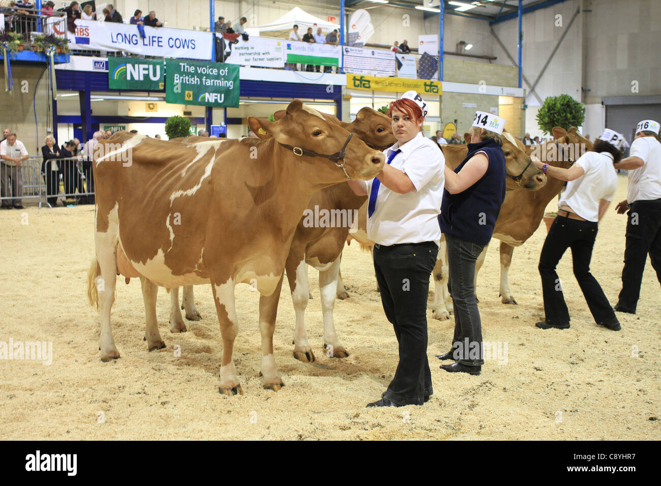Bath and West Show Stock Photo Alamy