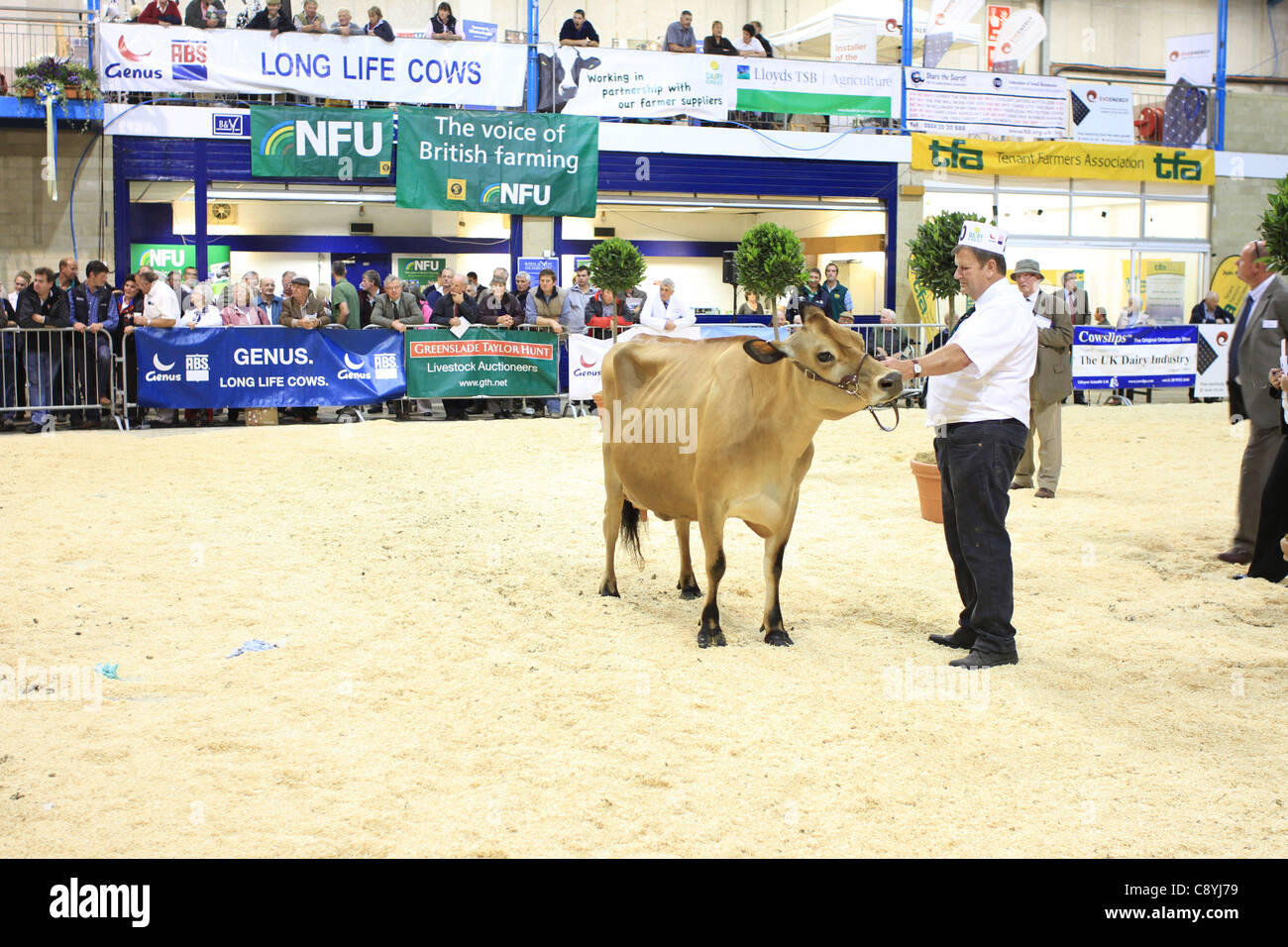 Dairy show bath and west hires stock photography and images Alamy