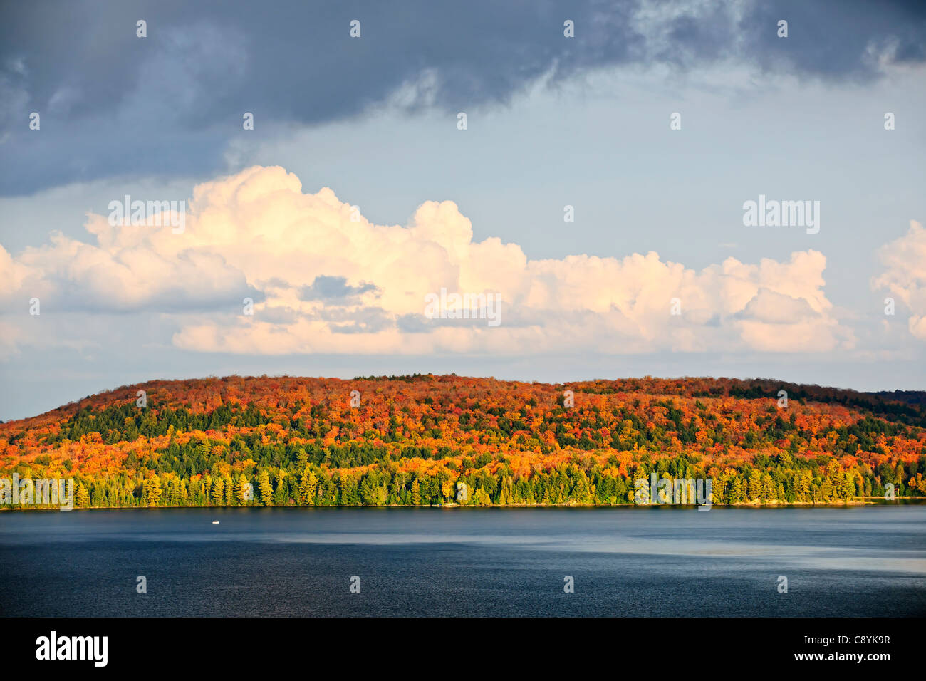 Forest of colorful autumn trees with lake and dramatic sky Stock Photo ...