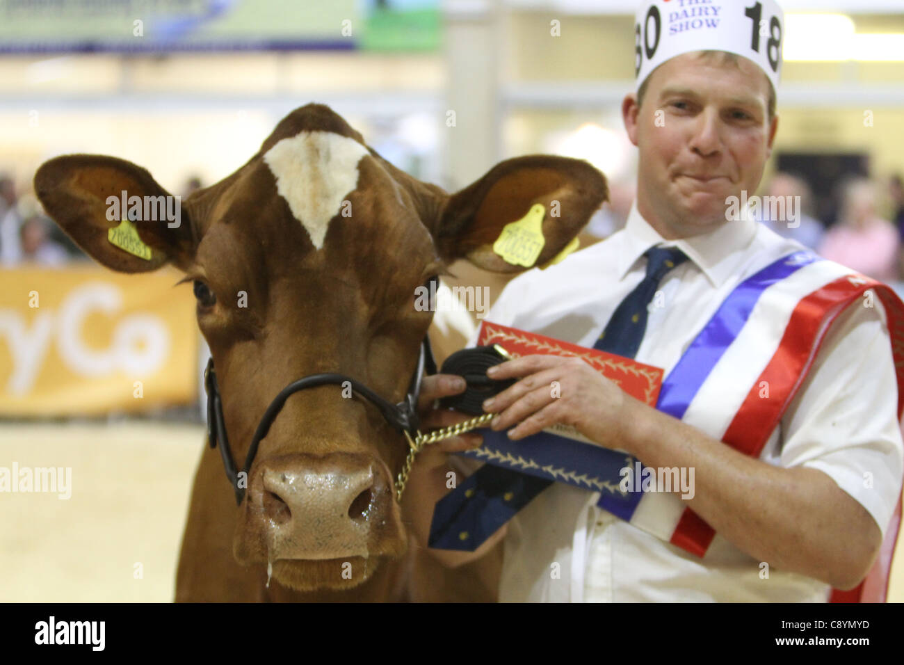 Bath and West Show Stock Photo Alamy