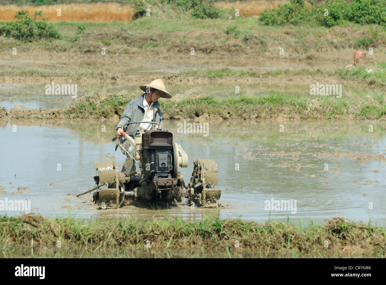 Asia, Vietnam, Hue. Vietnamese farmer working in the field Stock Photo ...