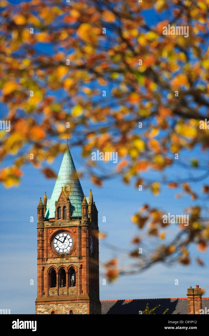 Londonderry guildhall framed by autumn leaves, County Londonderry, Northern Ireland Stock Photo