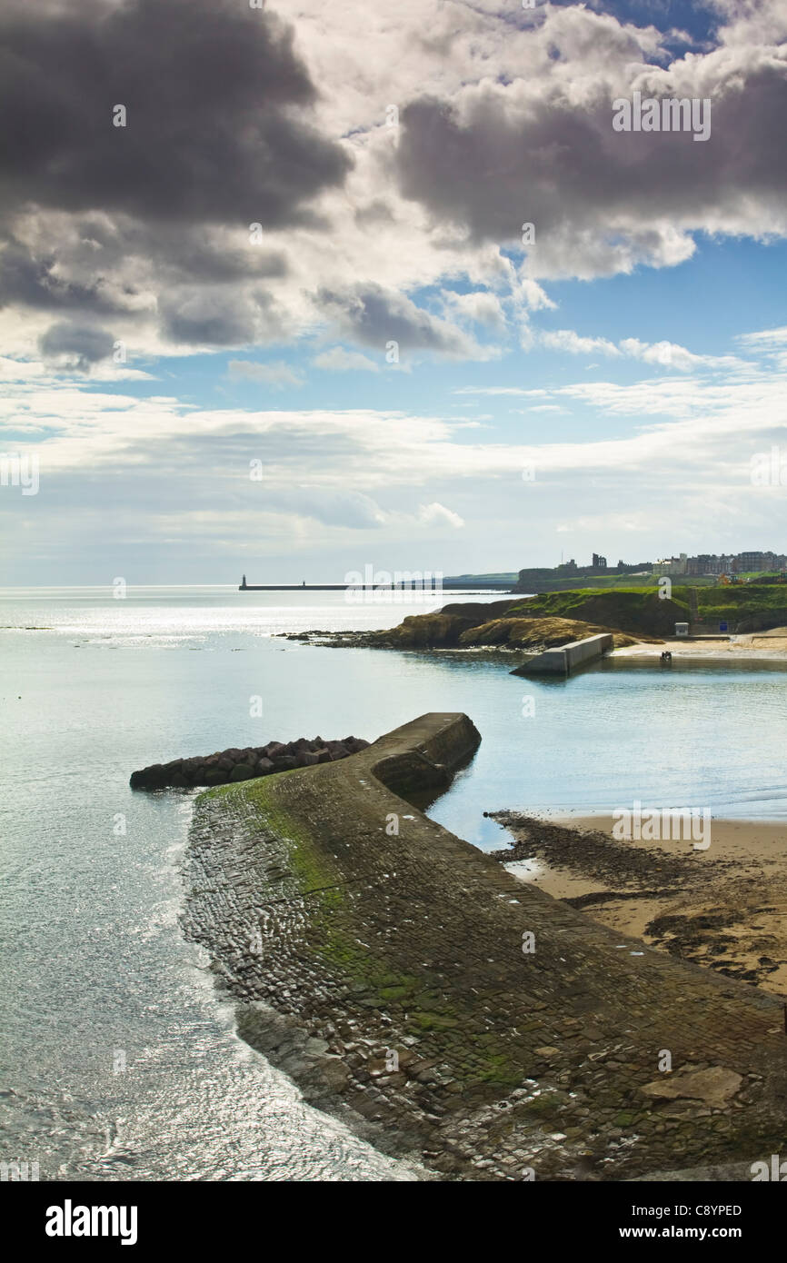 Cullercoats harbour looking south towards Tynemouth, North Tyneside, England Stock Photo