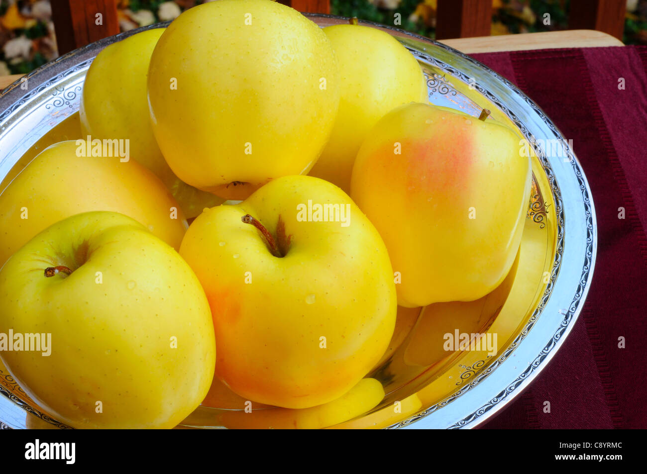 Apples of gold in settings of silver pictorial representation of