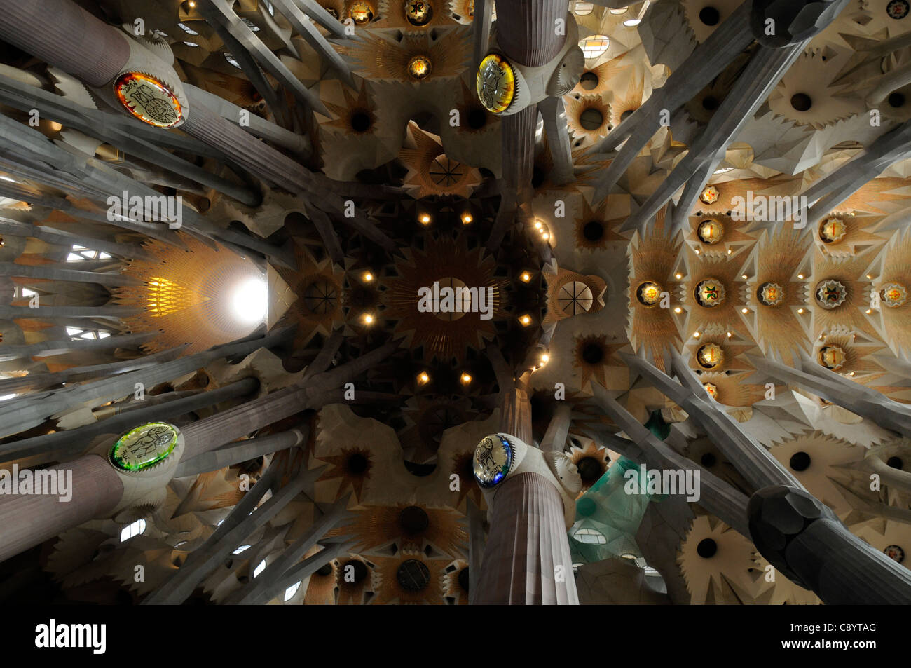 Looking up at the ceiling of Basílica y Templo Expiatorio de la Sagrada
