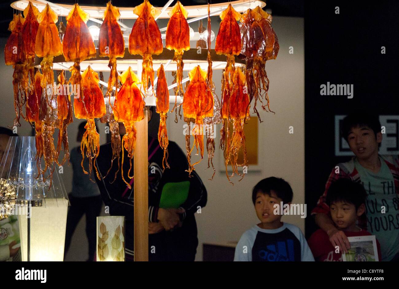 November 5th, 2011 Tokyo, Japan, The dried cuttlefish lights by