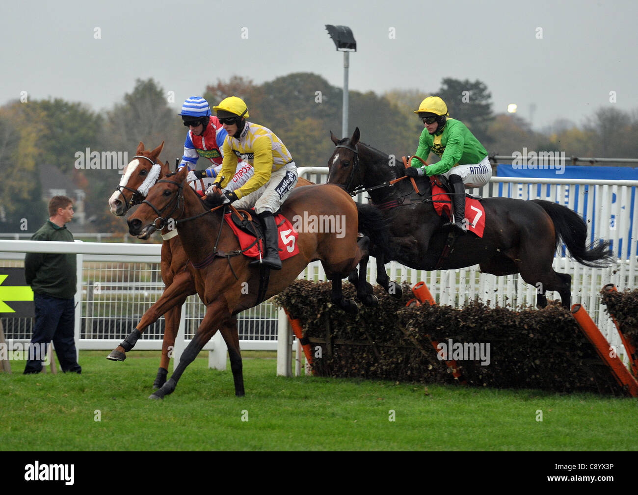 Pateese ridden by Matt Griffiths leads the field from Humide ridden by Johnny Farrelly and Tony Star ridden by Tom O'Brien in the Bet @bluesq.com Handicap Hurdle at Sandown Park Racecourse, Esher, Surrey - 05/11/2011 - MANDATORY CREDIT: Martin Dalton/TGSPHOTO - Self billing applies where appropriate Stock Photo