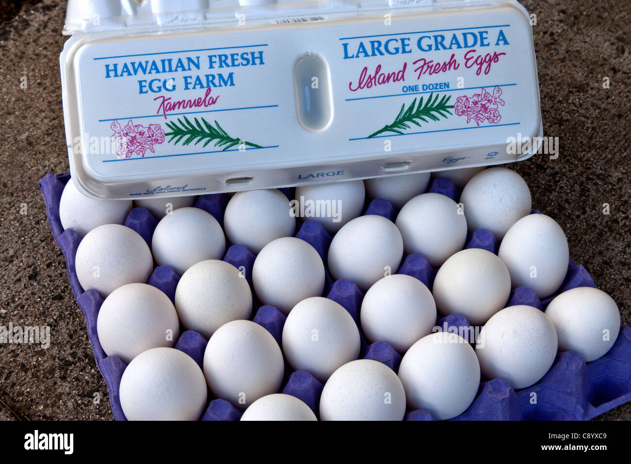 Hawaiian Farm Fresh Eggs 'Island Fresh'. Stock Photo