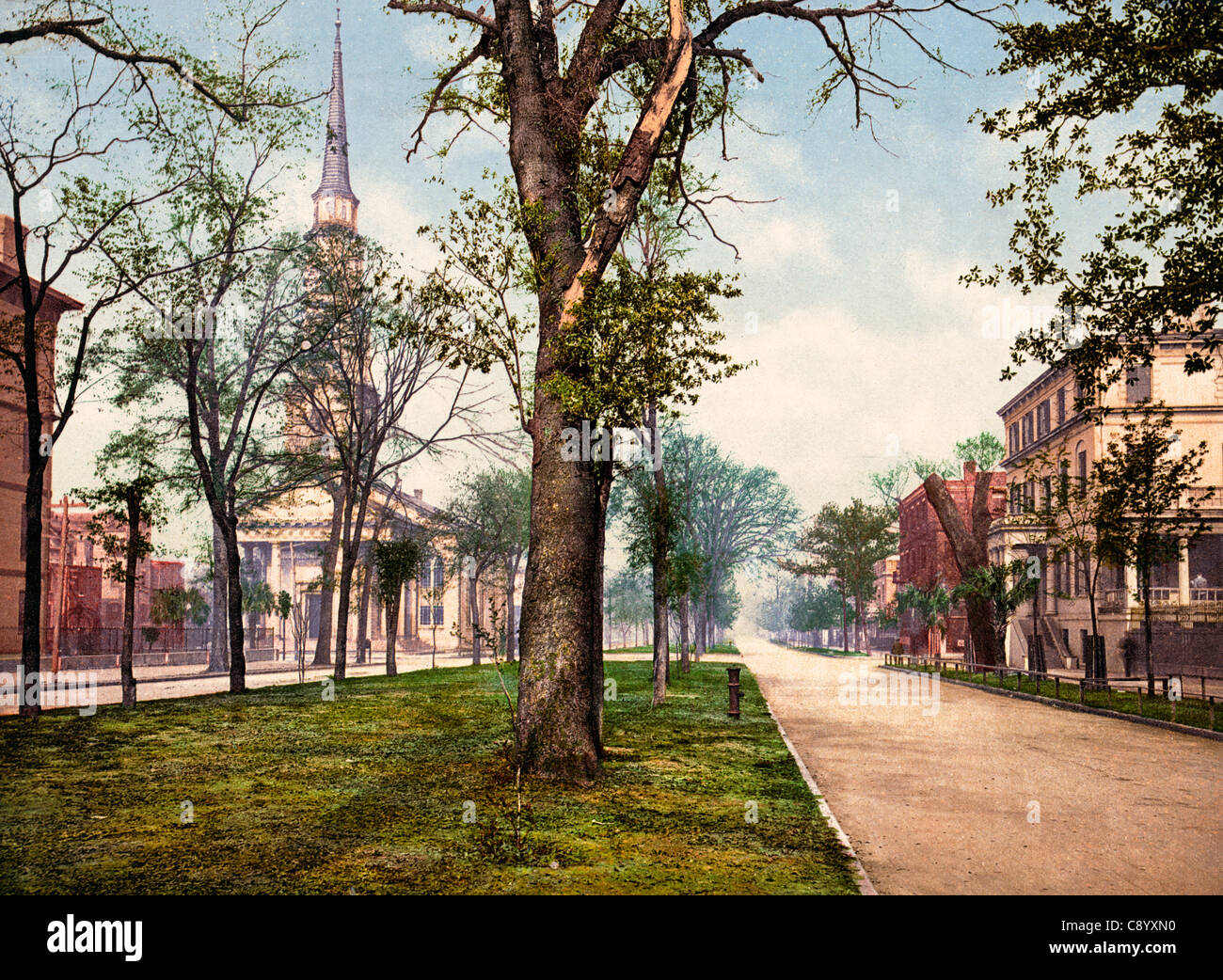 Oglethorpe Avenue, Savannah, circa 1900 Stock Photo Alamy