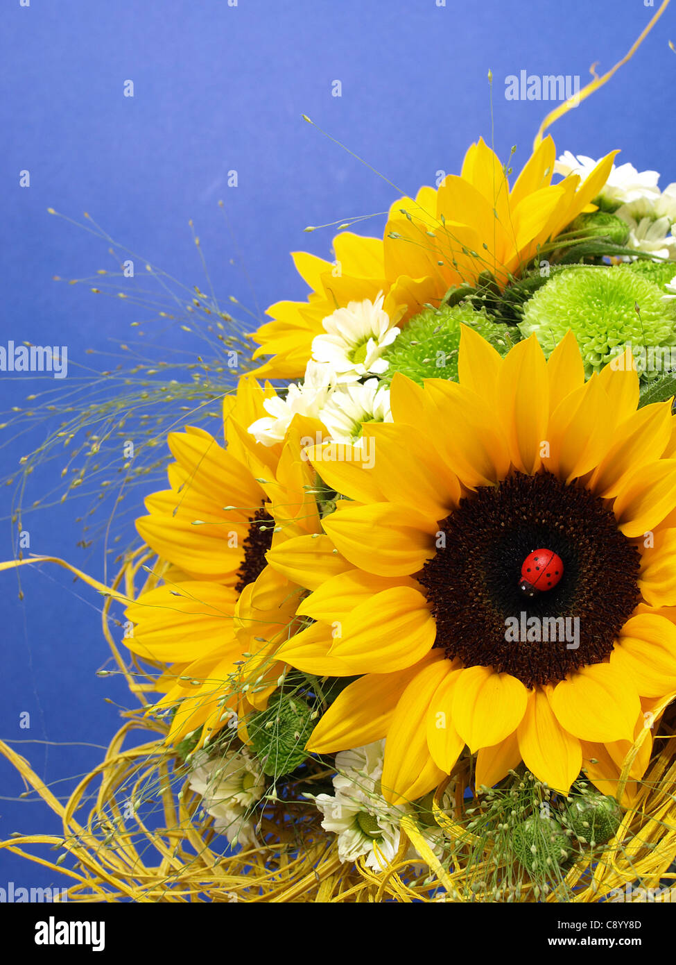 Yellow Sunflower bouquet Stock Photo Alamy